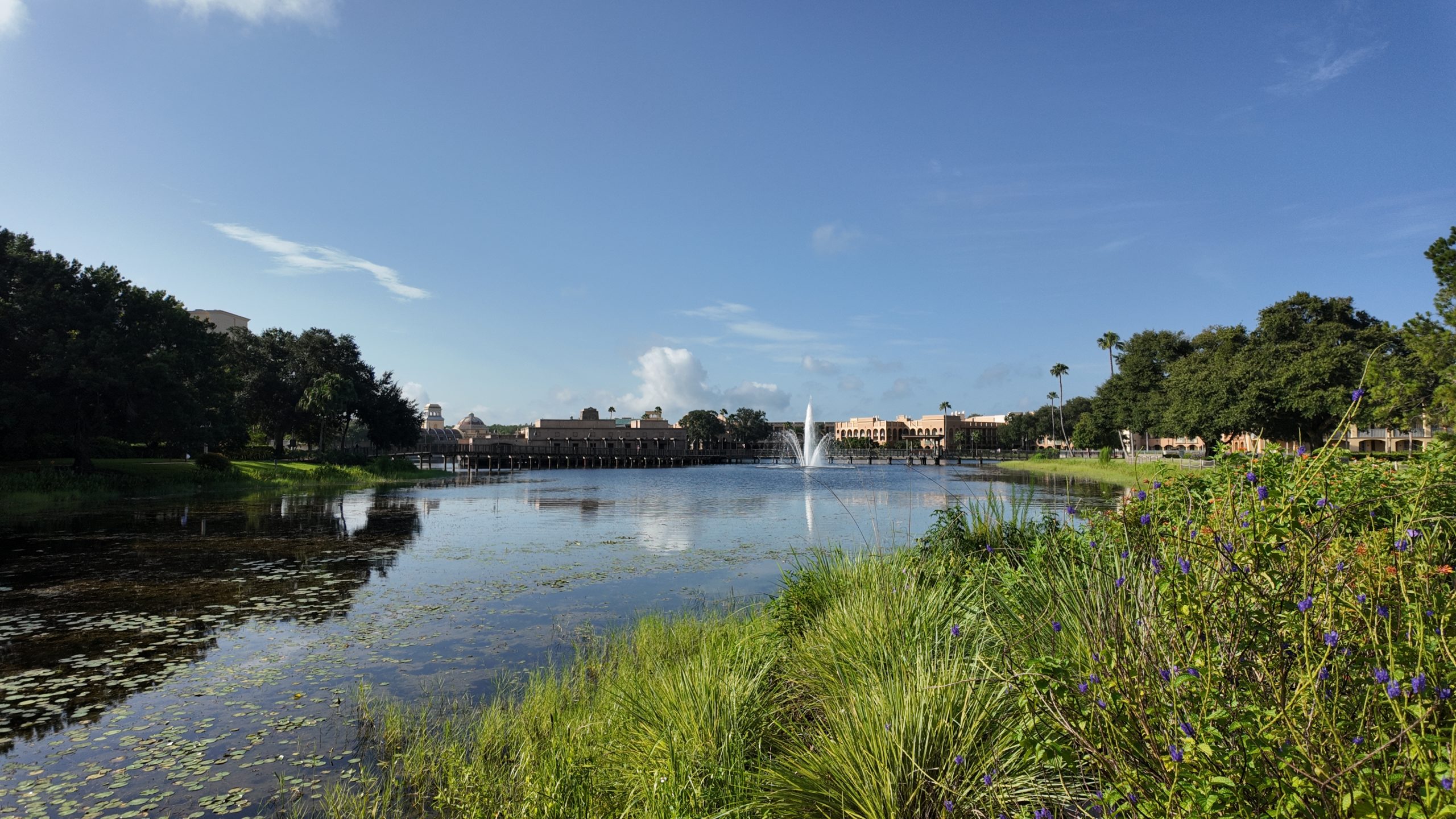 Which Disney Moderate Resort is Right for You?