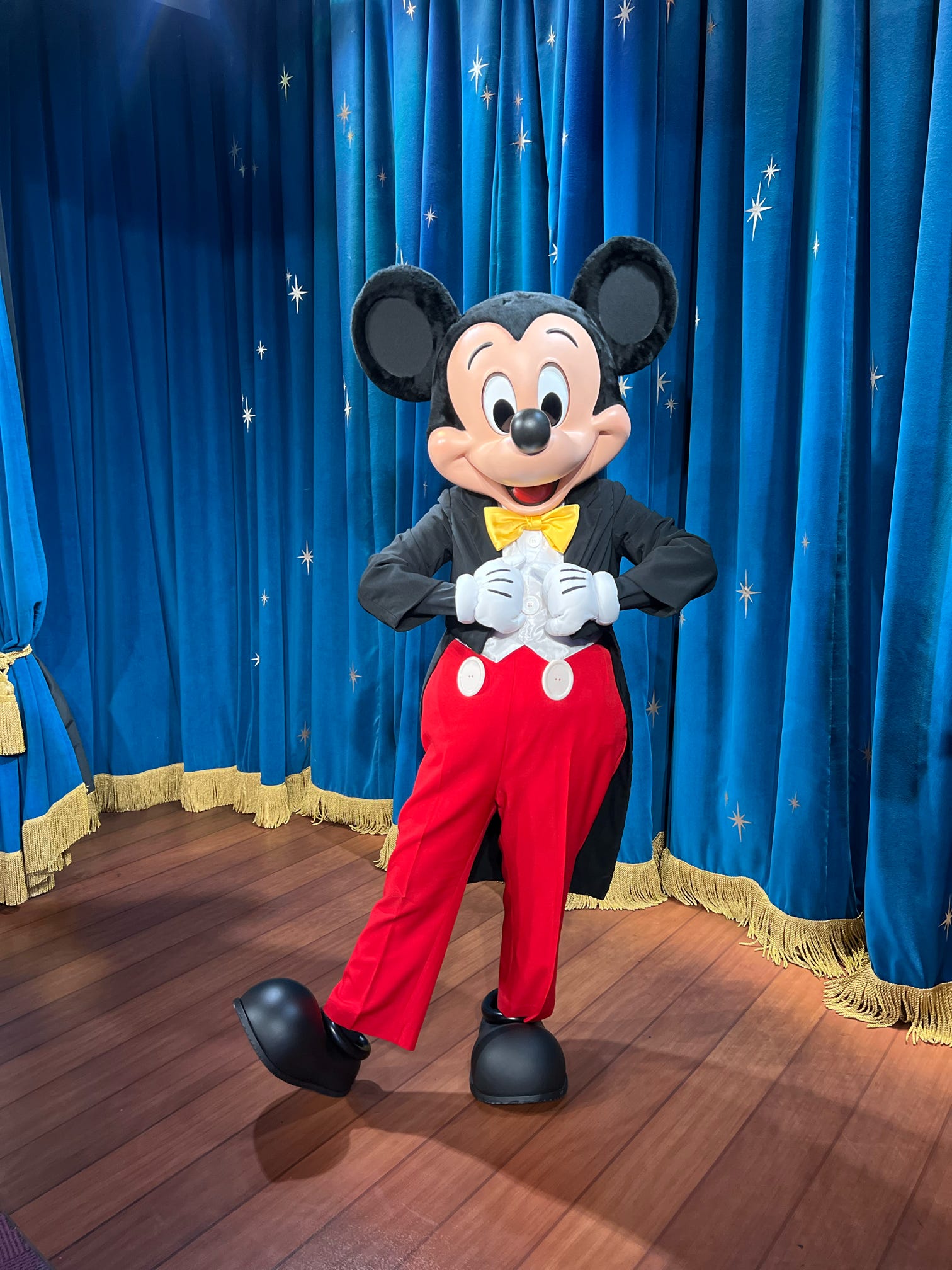 Disney Characters Fact Sheet