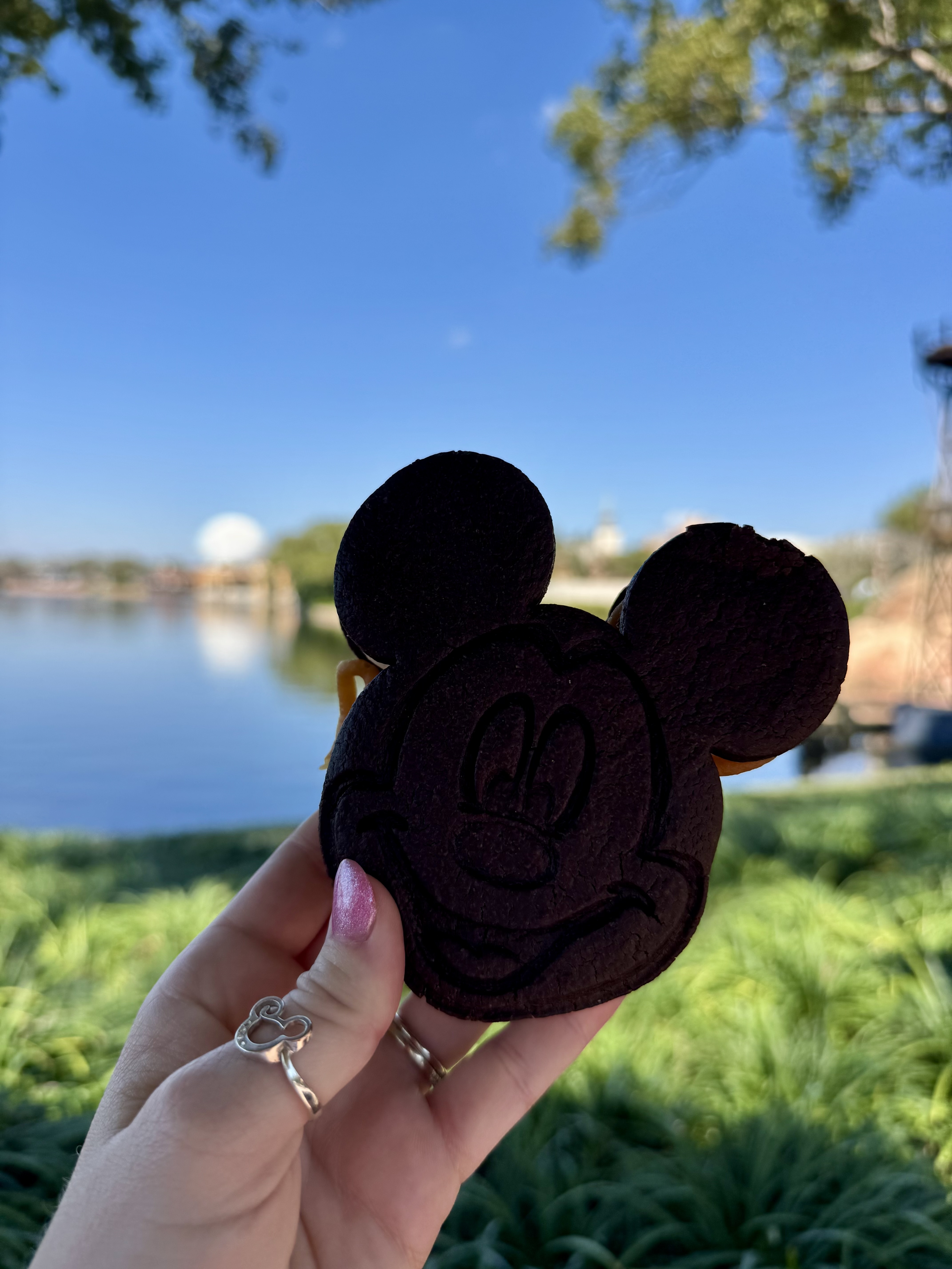 Taste the Magic: Unmissable Food and Snacks at Walt Disney World